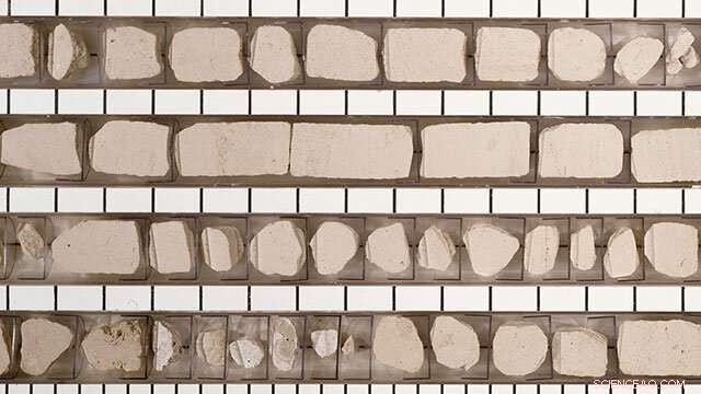 Early Cretaceous Volcanic Eruptions: The Direct Catalyst for Ocean Acidification