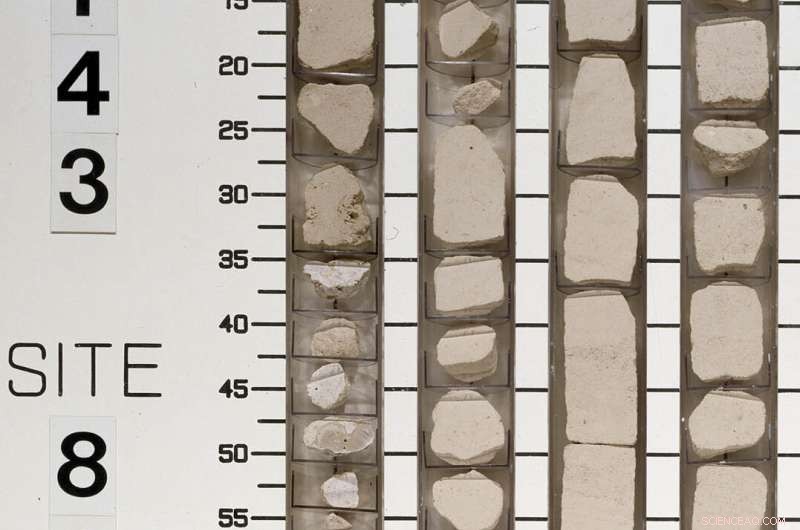 Early Cretaceous Volcanic Eruptions: The Direct Catalyst for Ocean Acidification