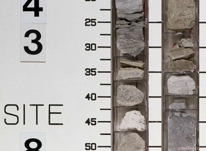 Early Cretaceous Volcanic Eruptions: The Direct Catalyst for Ocean Acidification