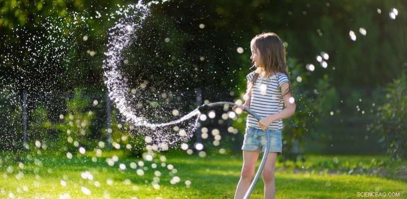 New Zealand Cities Brace for Summer Water Shortages Despite Water-Rich Reputation