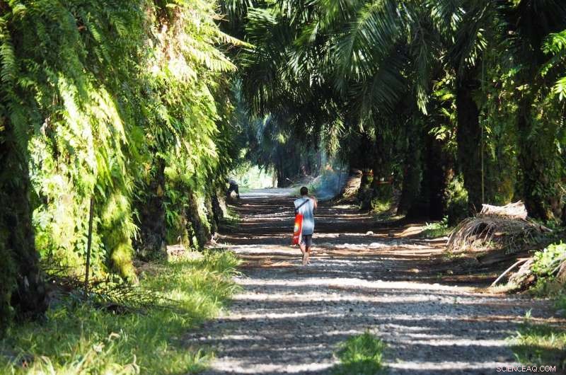 Can Christmas Cookies Really Save the World?
