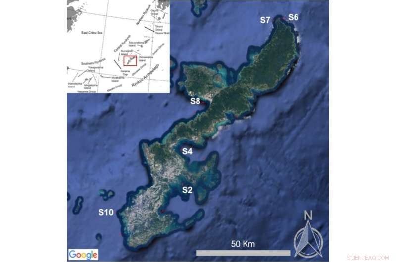 Innovative Study Detects Tiny Microplastics Across Japan s Subtropical Ocean