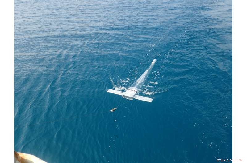 Innovative Study Detects Tiny Microplastics Across Japan s Subtropical Ocean