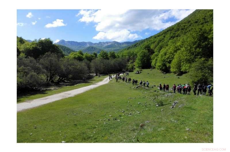 How Hiking Guides Foster Sustainable Tourism in Protected Areas