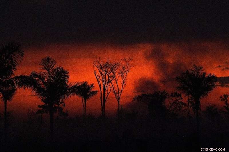 Brazil Sees Record Surge in Wildfires in 2020