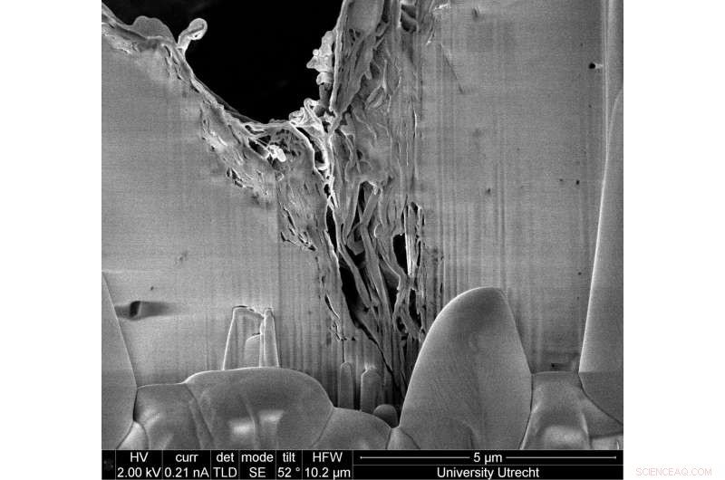 Gas Pressure Depletion and Induced Seismicity: Causes and Implications