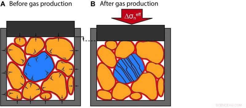 Gas Pressure Depletion and Induced Seismicity: Causes and Implications