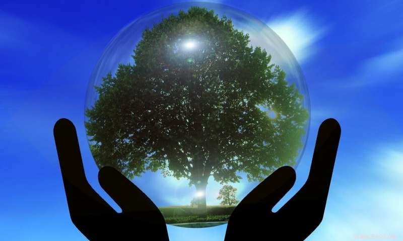 Unveiling a Key Environmental Policy Strategy: Why It Matters Now