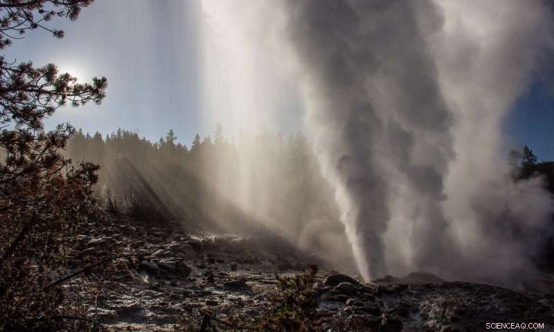 Study Reveals Reawakened Geyser Is Not a Predictor of Yellowstone Volcanic Eruptions
