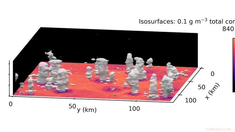 Aerosols from Pollution, Desert Storms, and Forest Fires Intensify Thunderstorms