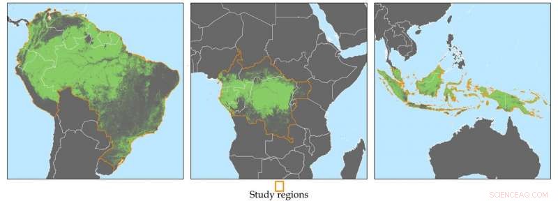 Satellite Alerts Linked to 18% Drop in African Deforestation