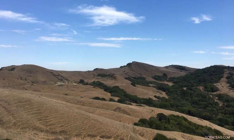 Dryland Water Dynamics: Declining Soil Moisture Cuts Surface Water Availability