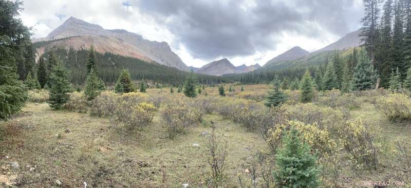 Identifying Canada s Critical Conservation Hotspots Reveals Key Challenges