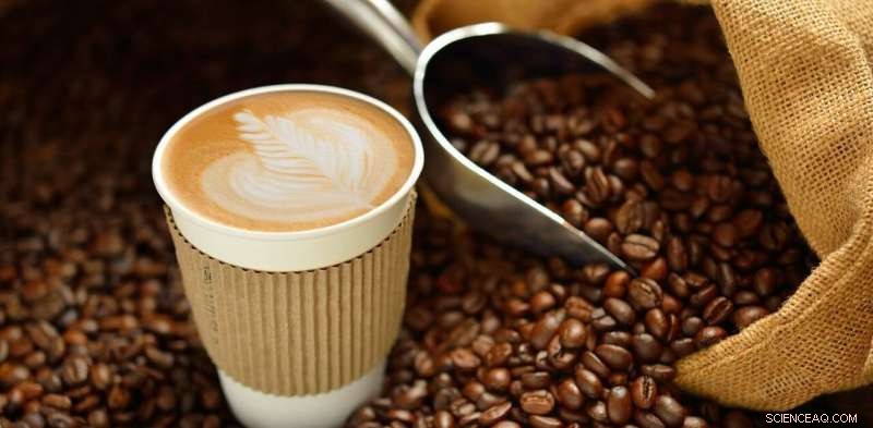 Reduce Coffee’s Carbon Emissions by 77% – A Practical Guide