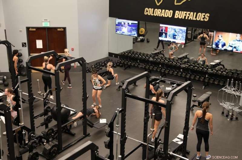 Sweat, Bleach, and Gym Air Quality: What Your Workouts Are Really Exposing You to