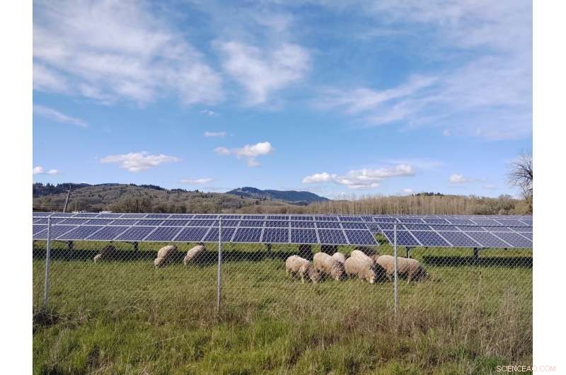 Harnessing Solar Power and Agriculture Together to Combat Climate Change and Empower Rural Communities
