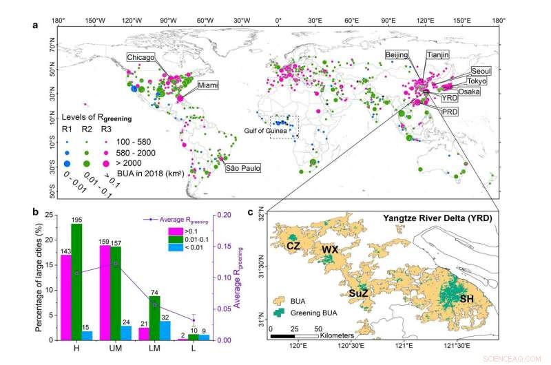 Global Study Reveals Uneven Urbanization Trends in Major Cities Over 20 Years