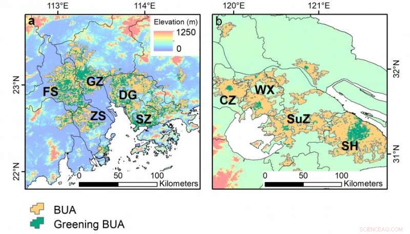 Global Study Reveals Uneven Urbanization Trends in Major Cities Over 20 Years
