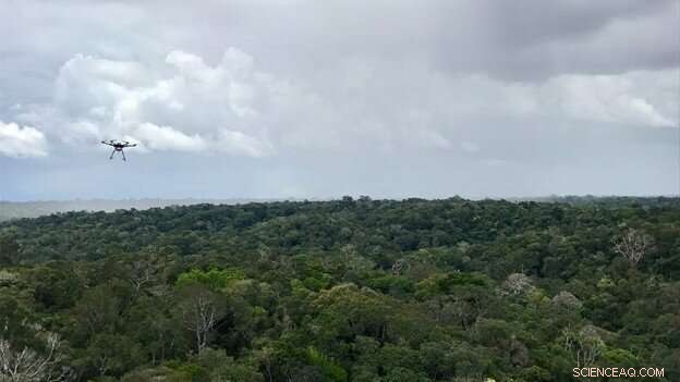 Drone-Based Early Detection System Tracks Amazon Rainforest Changes