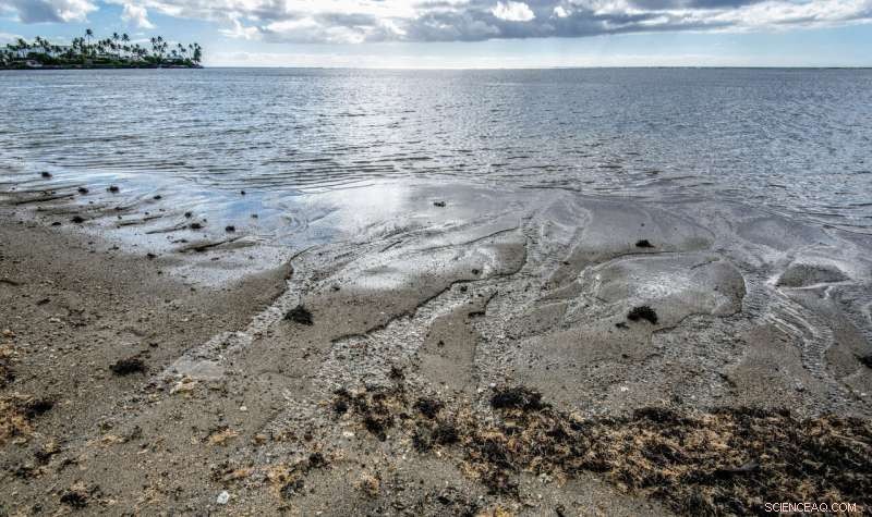 Groundwater Discharge to Oceans: New Study Reveals Critical Impact on Marine Chemistry