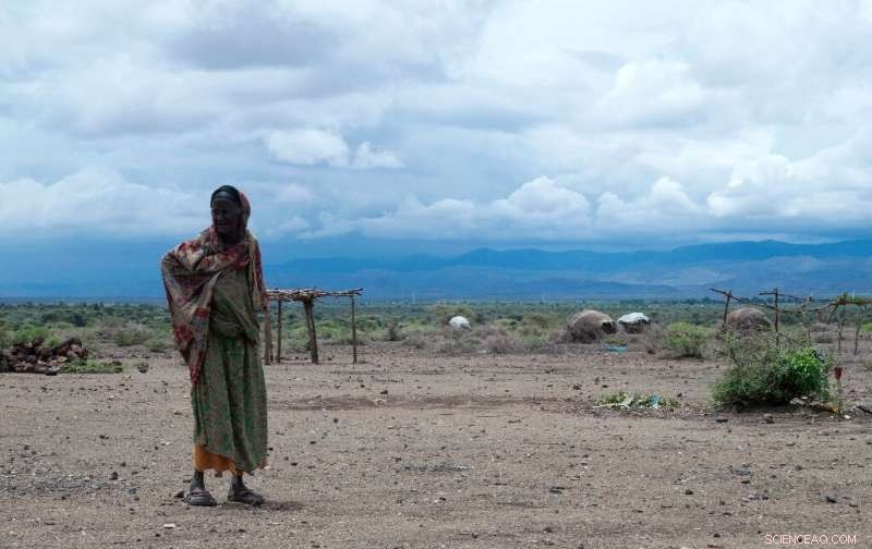 El Niño & La Niña: Understanding the Climate Cycles That Drive Global Temperature Extremes