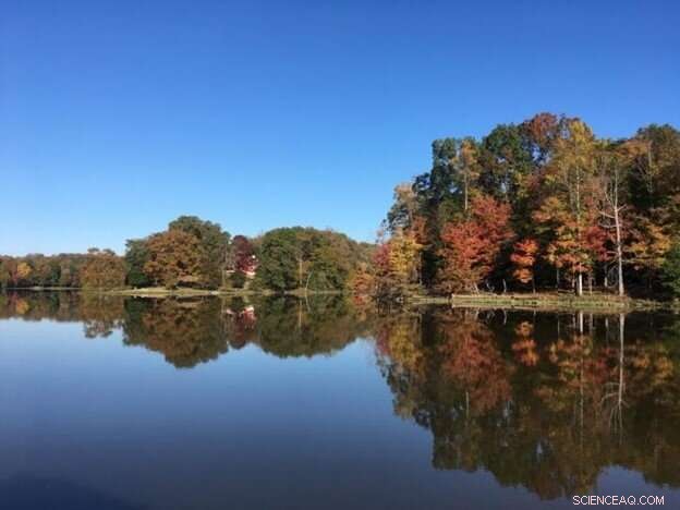 Effective Salt Pollution Management to Safeguard Drinking Water and Freshwater Ecosystems