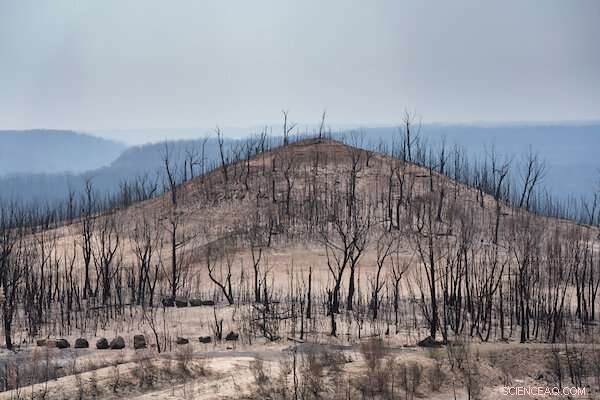 Australia s Black Summer: A Climate Wake‑Up Call