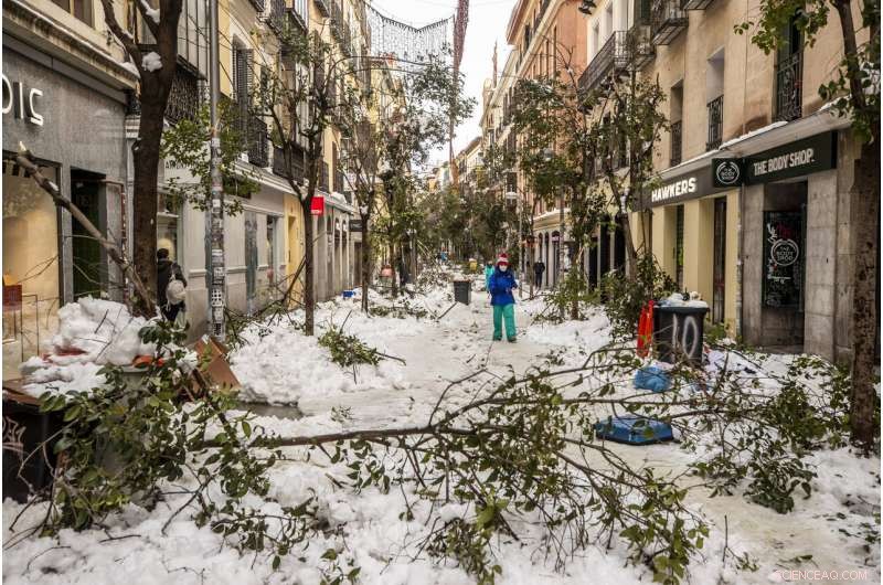 Spain Ramps Up Snow Clearing After Storm Filomena