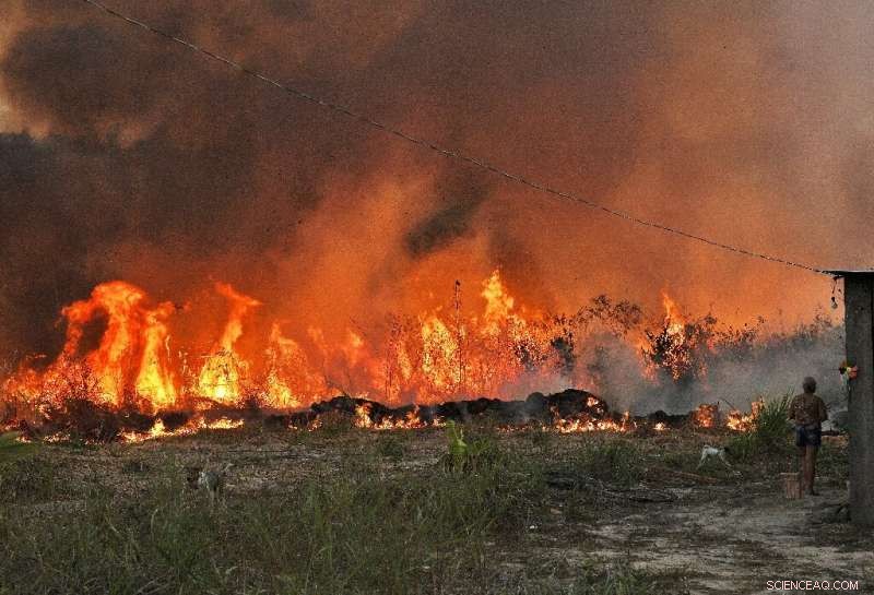 2020: A Pivotal Year of Amazon Deforestation and Climate Impact