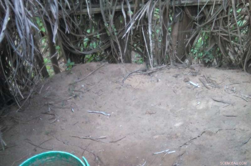 The Hidden Pathways of Untreated Wastewater in Developing Nations