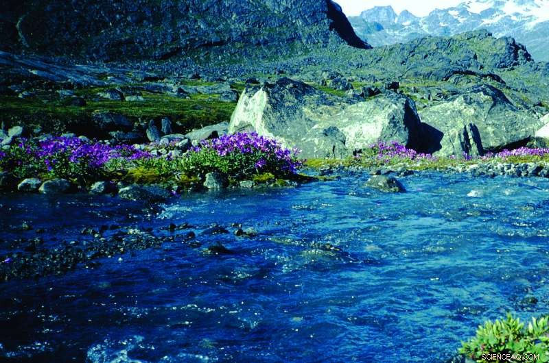 Global Crustal Expansion Spurt 3 Billion Years Ago Revealed by New Study