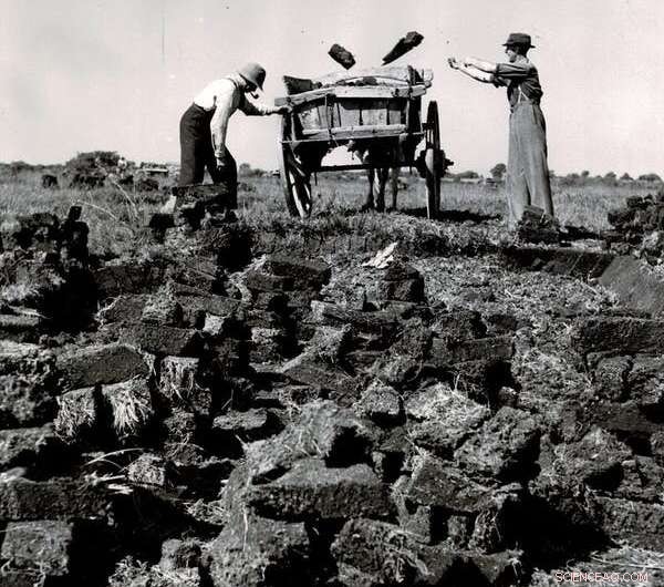 Restoring Peat Bogs: A Proven Climate‑Change Mitigation Strategy & Ecological Revival