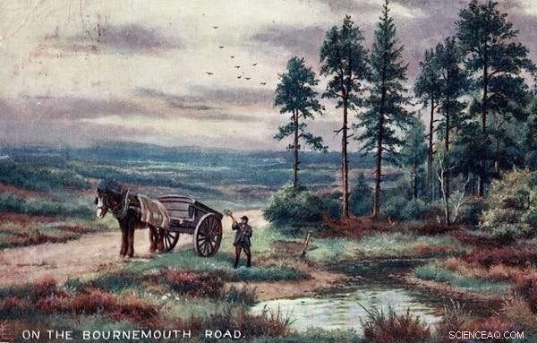 Restoring Peat Bogs: A Proven Climate‑Change Mitigation Strategy & Ecological Revival