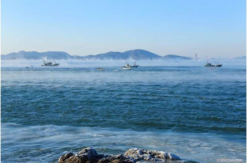 Upper Ocean Temperatures Reach Record High in 2020