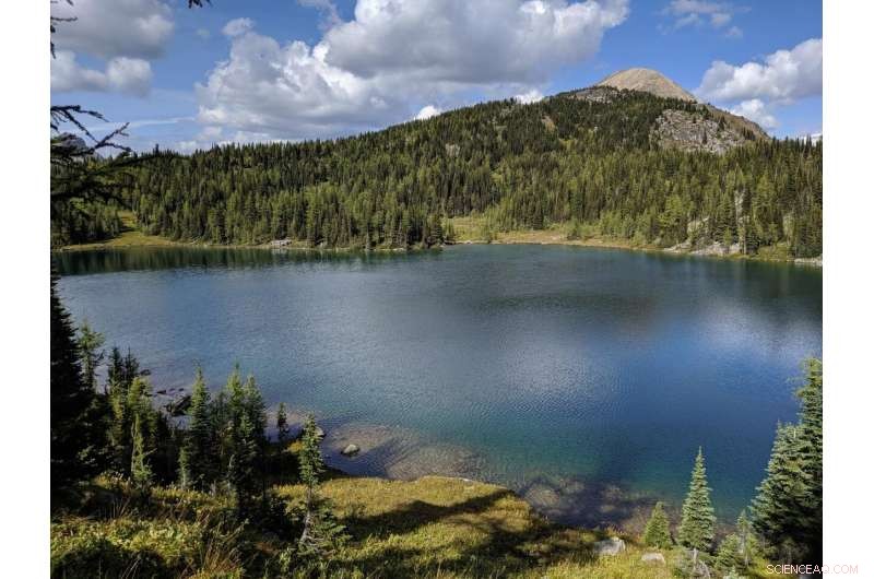 Northern Lakes Face Permanent Ice Loss, Threatening Drinking Water