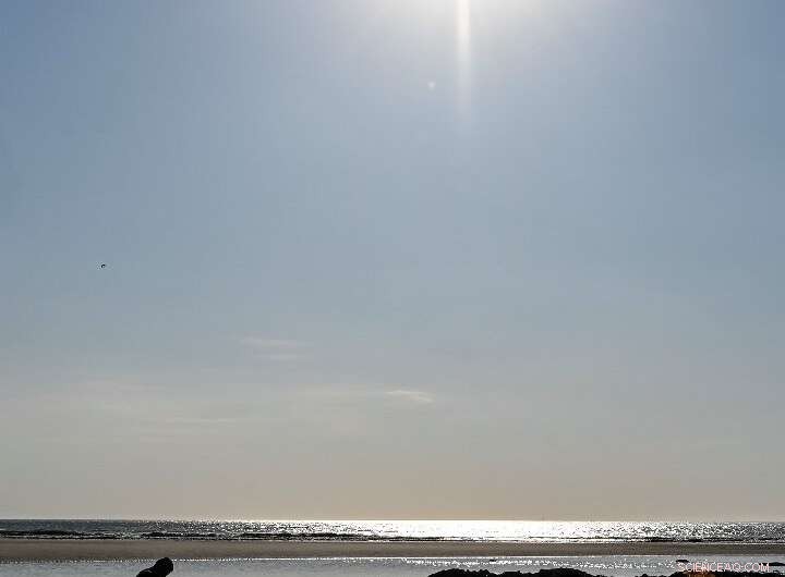 Paris Court to Hear Landmark Climate Inaction Case, NGOs Seek Accountability