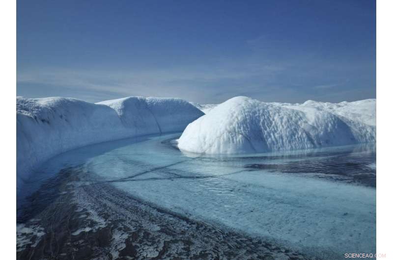 Bacteria in Greenland Sediments Accelerate Ice Melt, Boosting Sea‑Level Rise