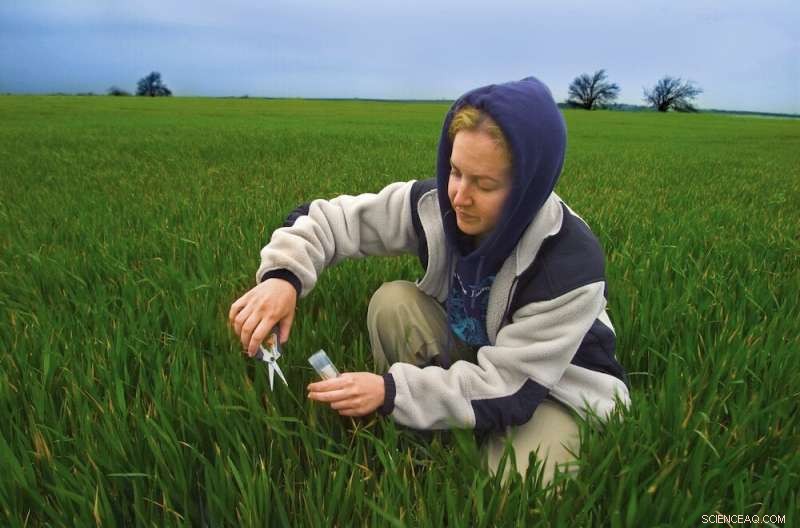 Carbon Dioxide Removal: A Critical Tool for Climate Action