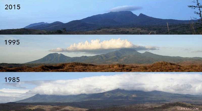 Climate Change Threatens Even the Smallest Species