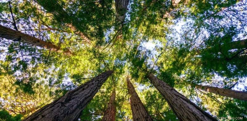 Now is the Time to Rethink How You Connect with Nature