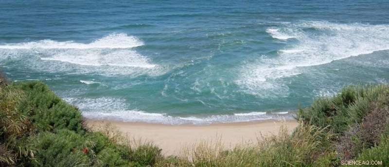 Experts Warn: 78% of New Zealand Beachgoers Can t Spot Deadly Rip Currents