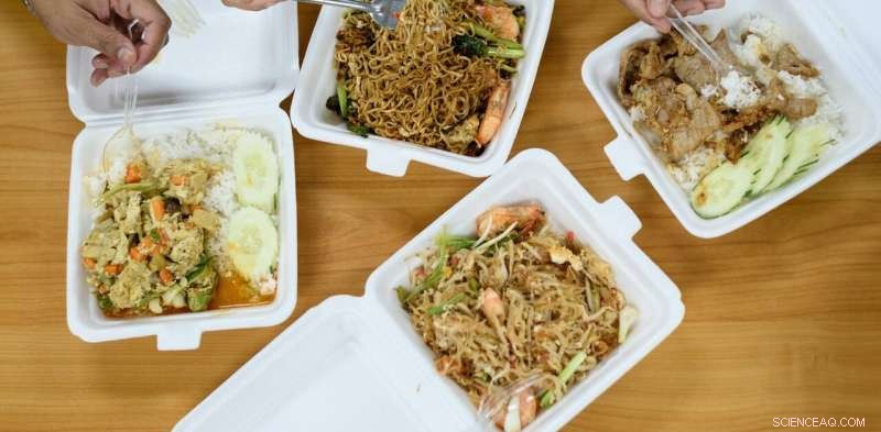 The Climate Impact of Home-Delivered Food: Identifying the Most Carbon-Intensive Cuisines