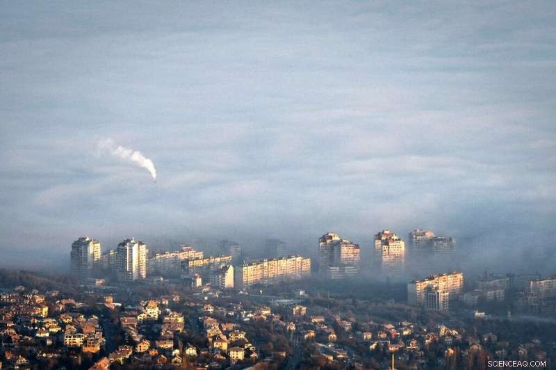 Halving EU Air Pollution May Prevent 50,000 Lives