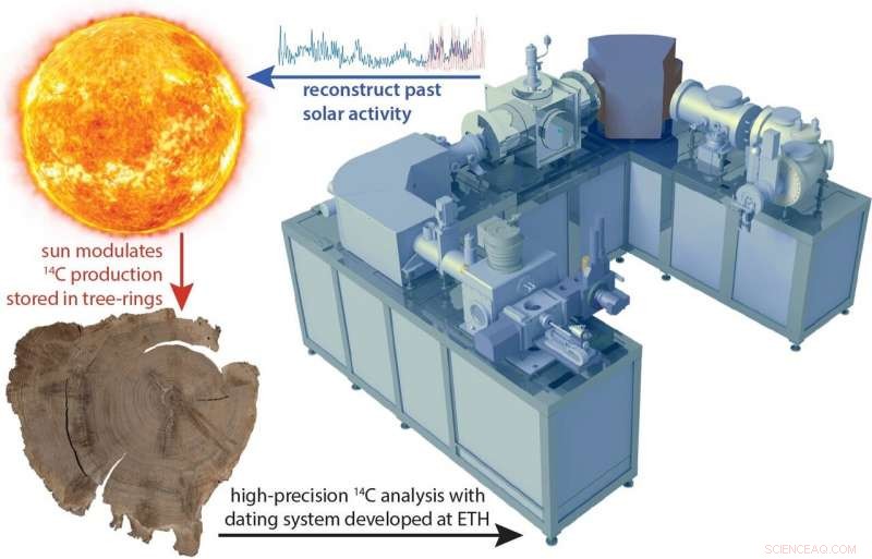 Mapping Solar Activity Over the Past Millennium