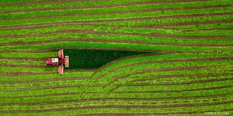 Turning Abandoned Farmland into Biofuel Production: A Sustainable Solution