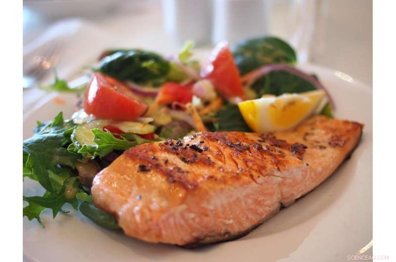 Introducing FishChoice: A Comprehensive Tool to Evaluate Fish Consumption Benefits, Risks, and Sustainability