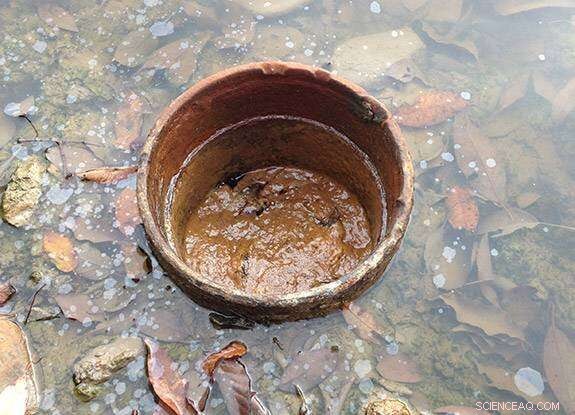 Abandoned Oil and Gas Wells Emit Significantly More Methane Than Previously Estimated