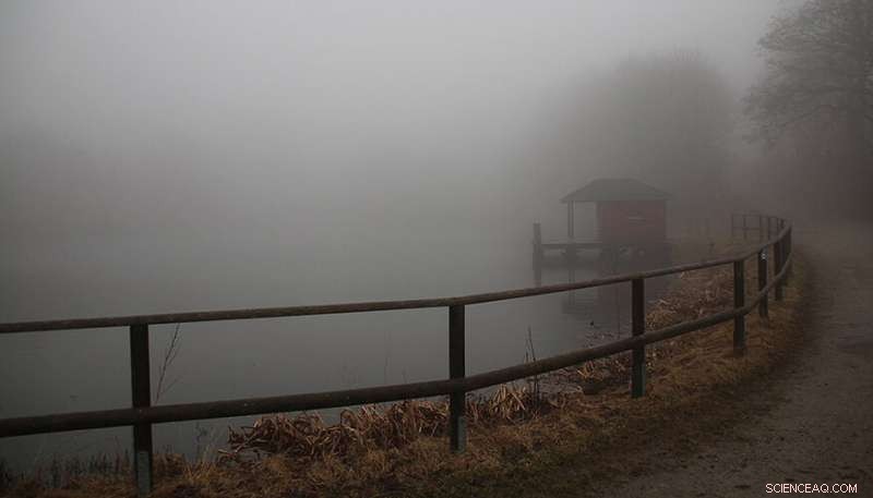 Drizzle Rates Drive Air Pollution: New Findings from LLNL