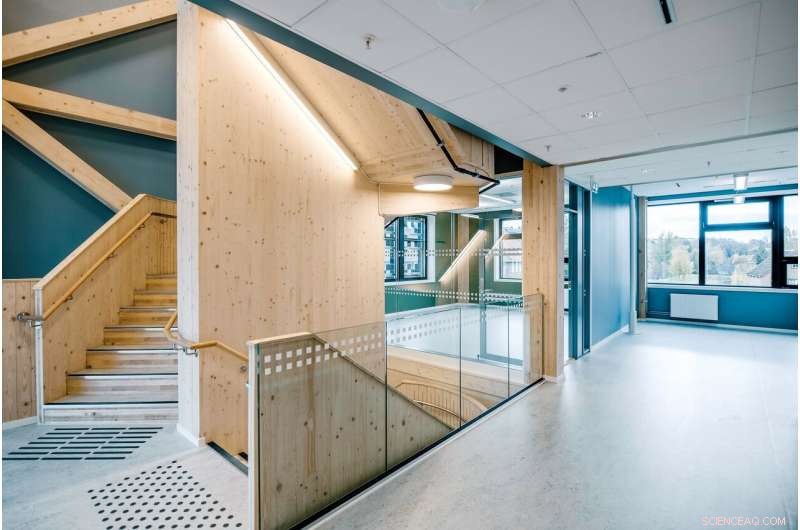 Why Wood-Based Buildings Aren t Mainstream Despite Their Carbon-Sequestering Advantage