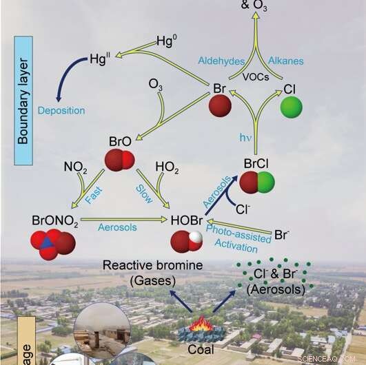 Domestic Coal Combustion Releases Reactive Halogens, Worsening Winter Air Quality